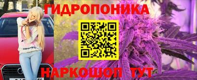 стафф Кимры