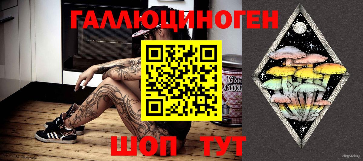Псилоцибиновые грибы Psilocybe  Вход с VPN  как найти закладки  Касимов 